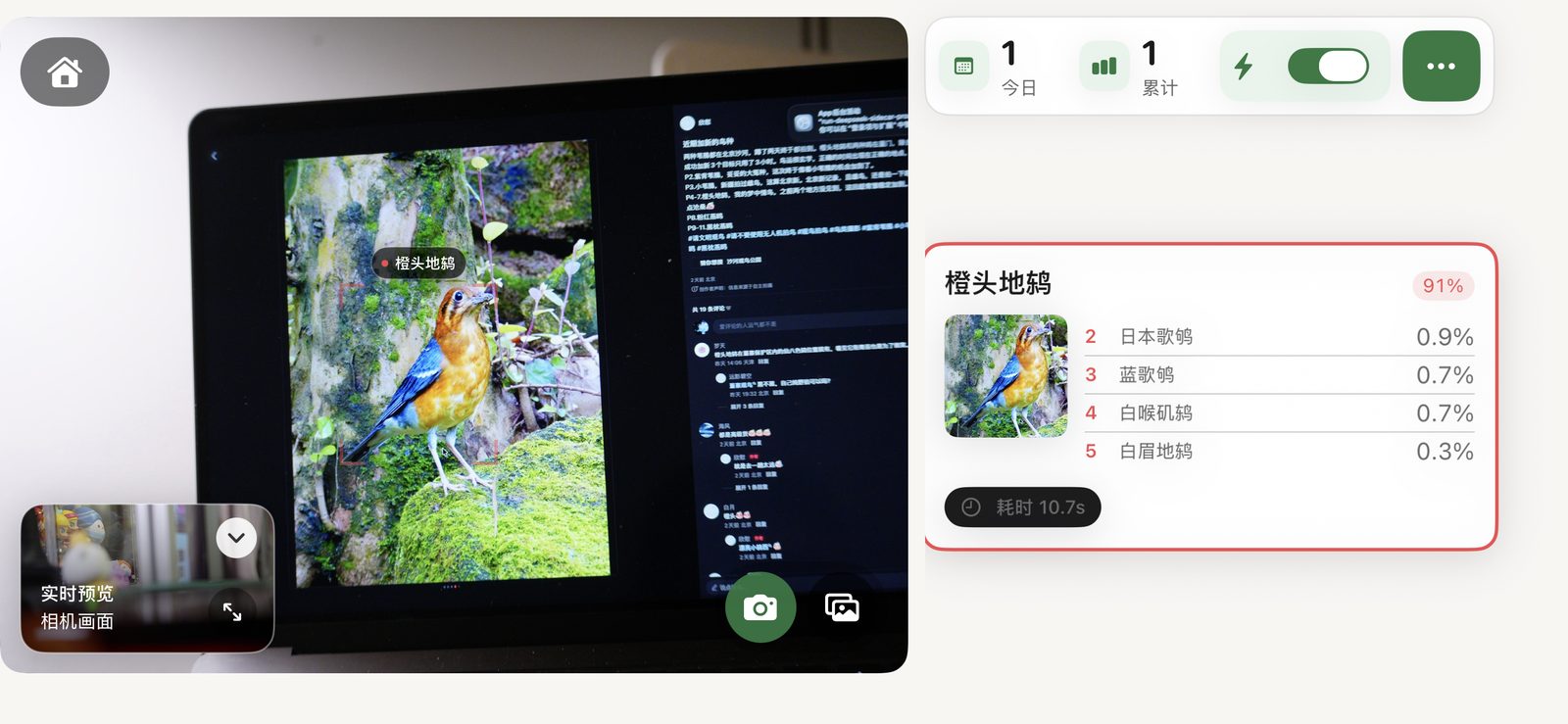 App 主界面：左侧实时画面，右侧识别结果